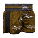 BYKO black Muay Thai mesh shorts back view – lightweight training shorts with mesh panels